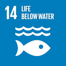 SDG 14 — Life Below Water