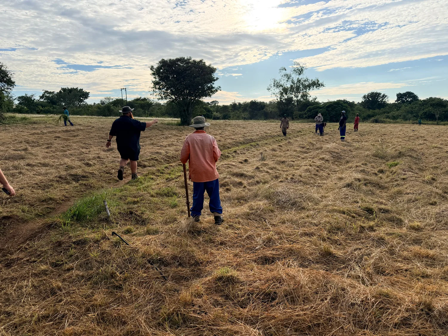 A planting team walking out into the catchment at the start of a planting day.