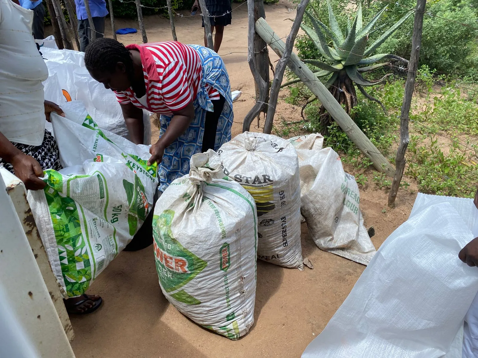 Custodians weighing and loading labelled kernel sacks at a household pay-point