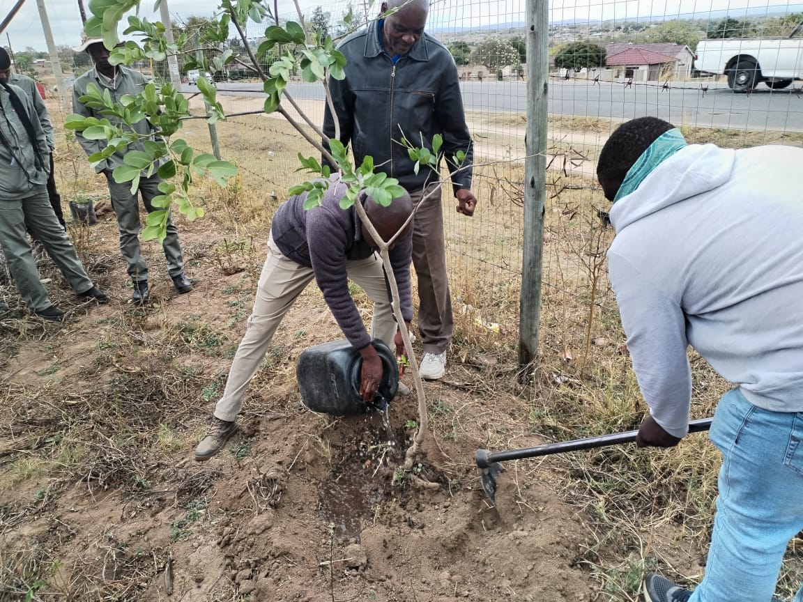 Indigenous tree being planted at the close of the day.
