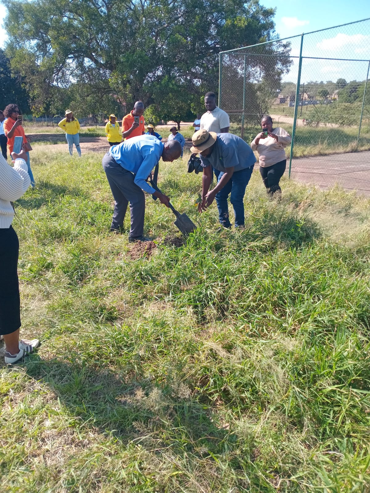 Teachers and BLM team planting a tree with learners watching.