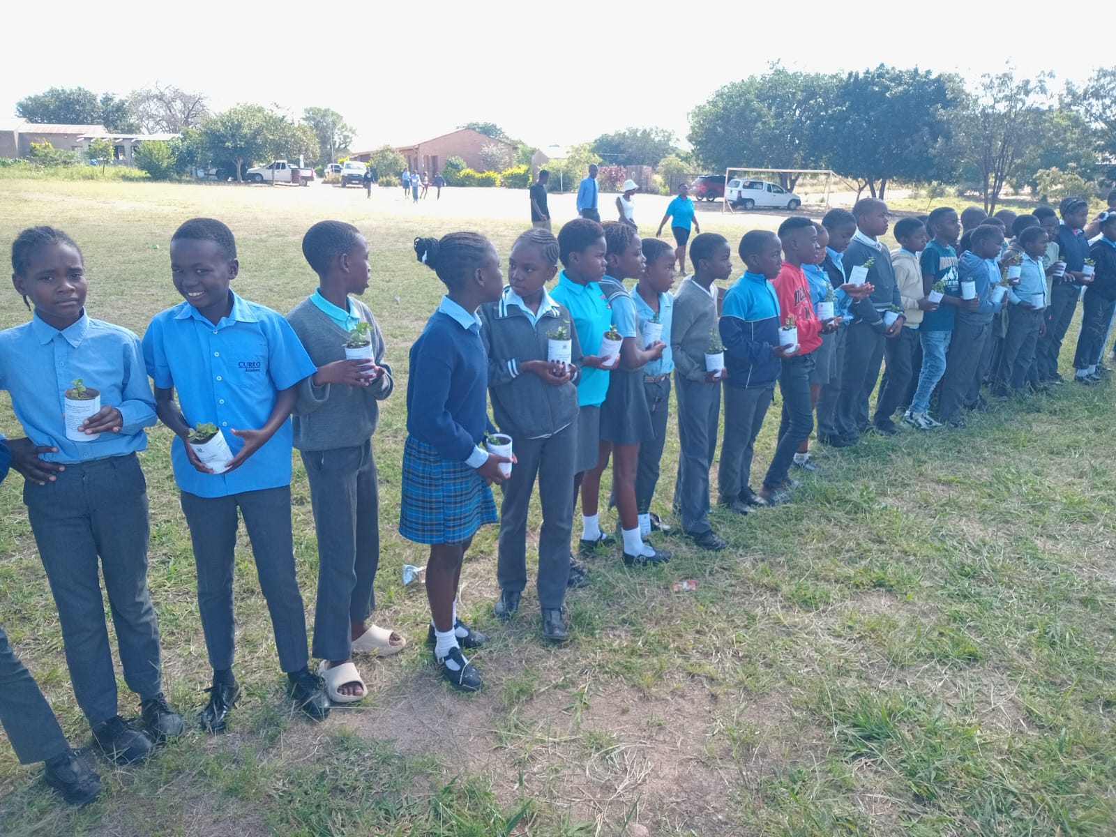 Schoolchildren lined up with saplings, ready to plant.