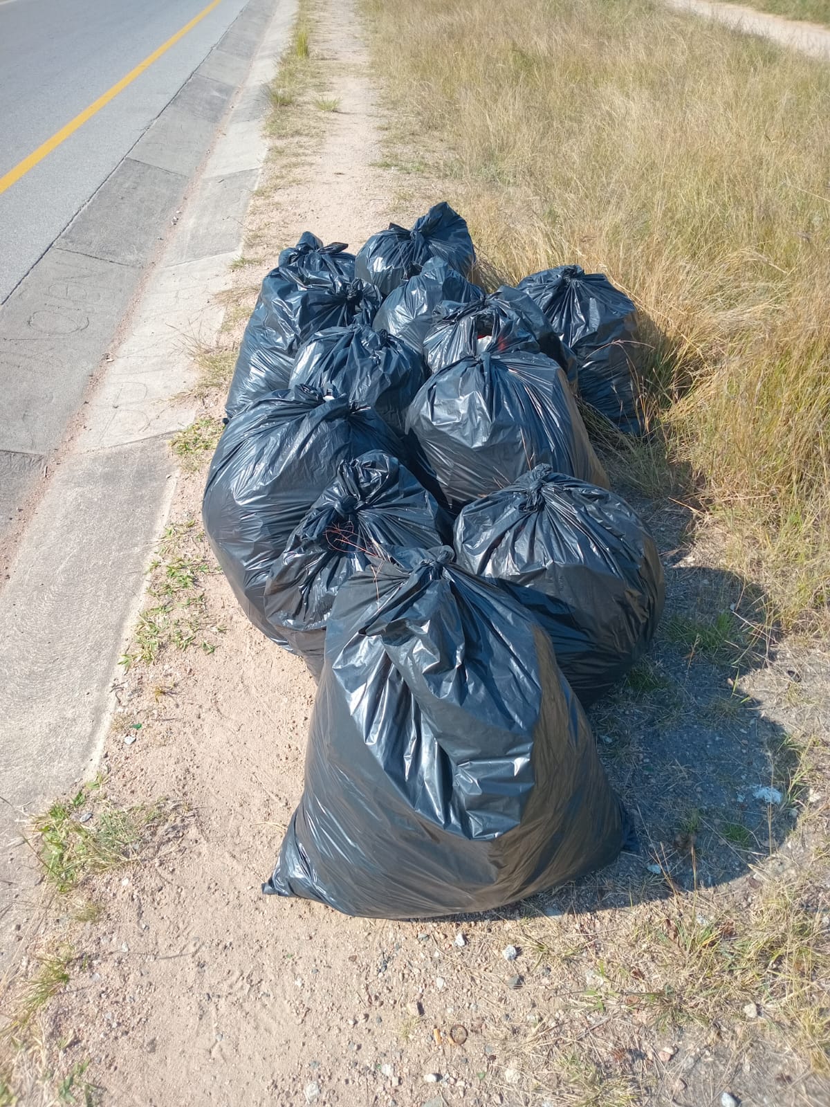 Bags of collected waste piled at the roadside, ready for pickup.
