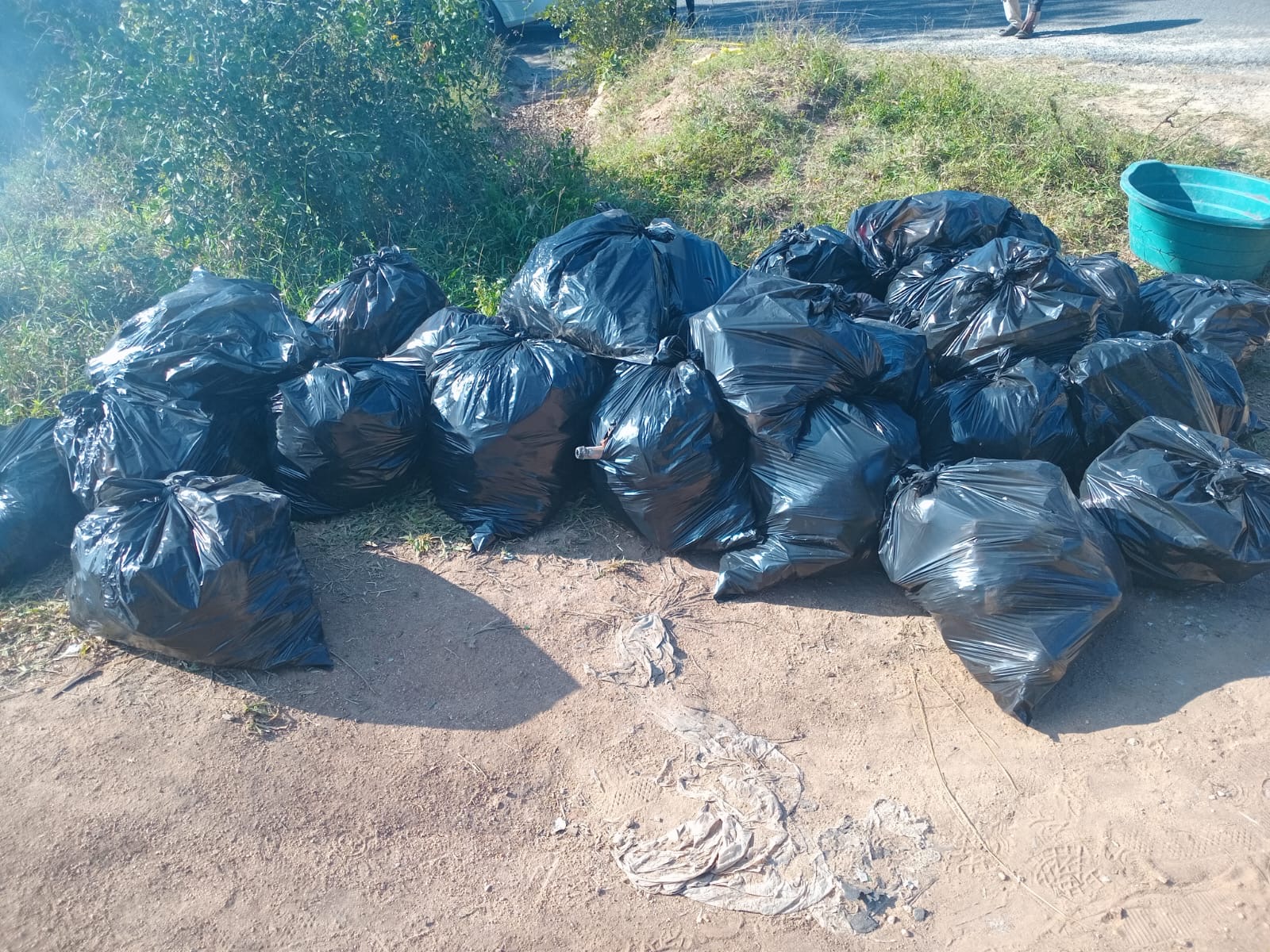 Bags of collected waste at the end of the day.