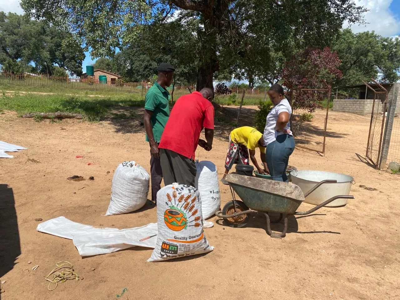 Custodians at a village weighpoint with bagged marula kernels