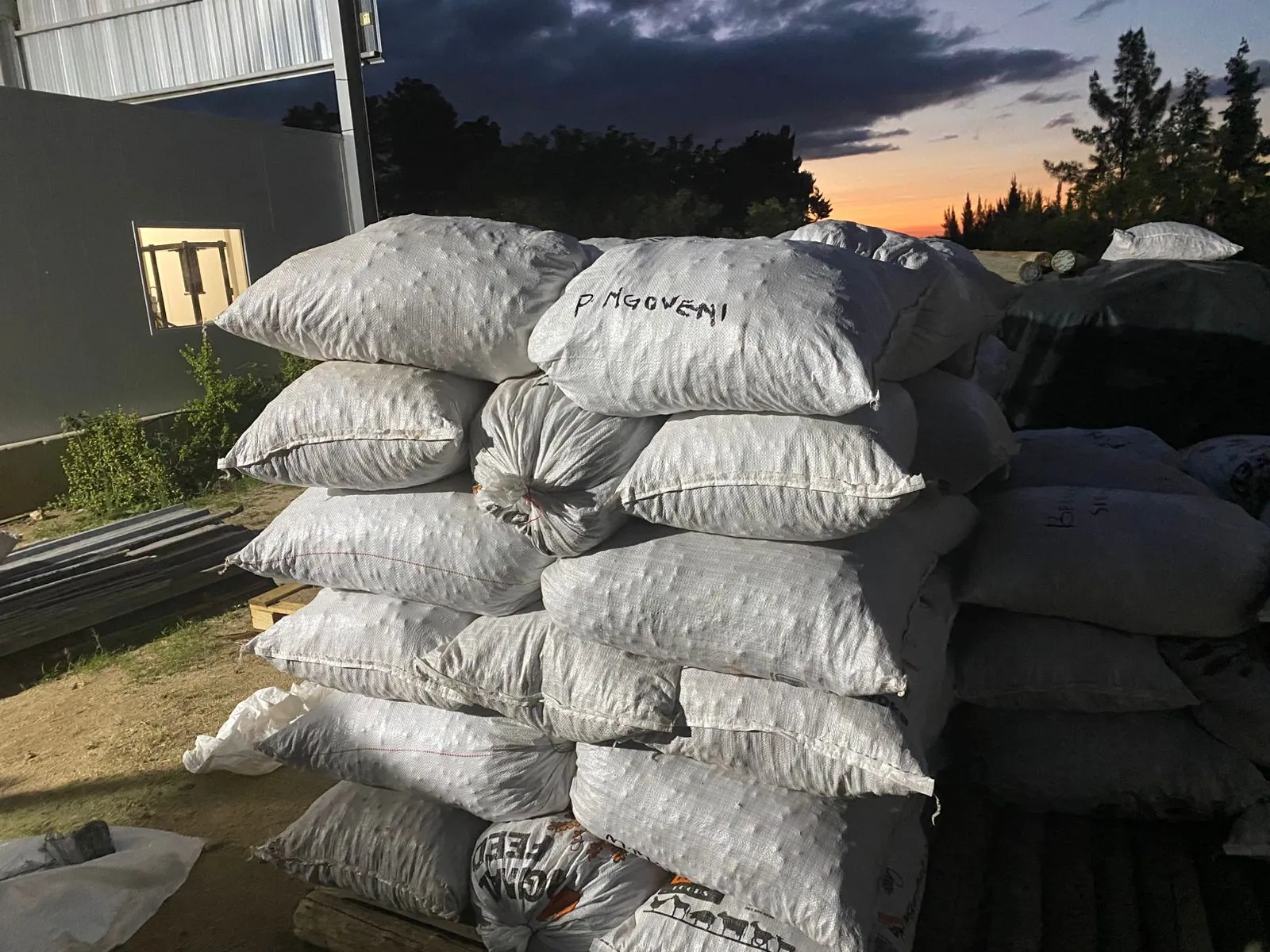 Stacked kernel bags at dusk at the processor yard