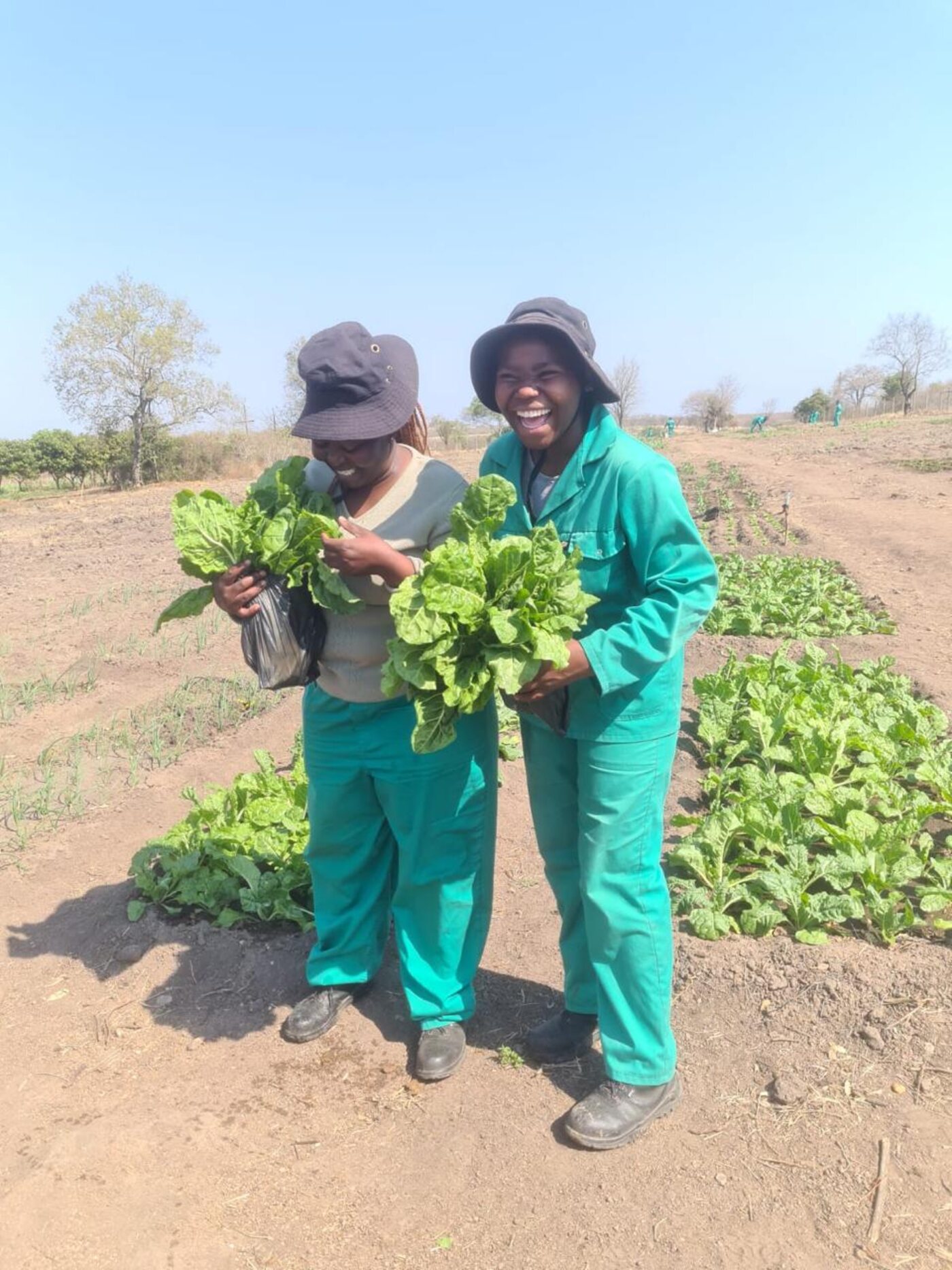 Two Hlulani Nursery operators in green workwear stand smiling in front of the cultivated beds at Newington, each holding a harvest of leafy greens.