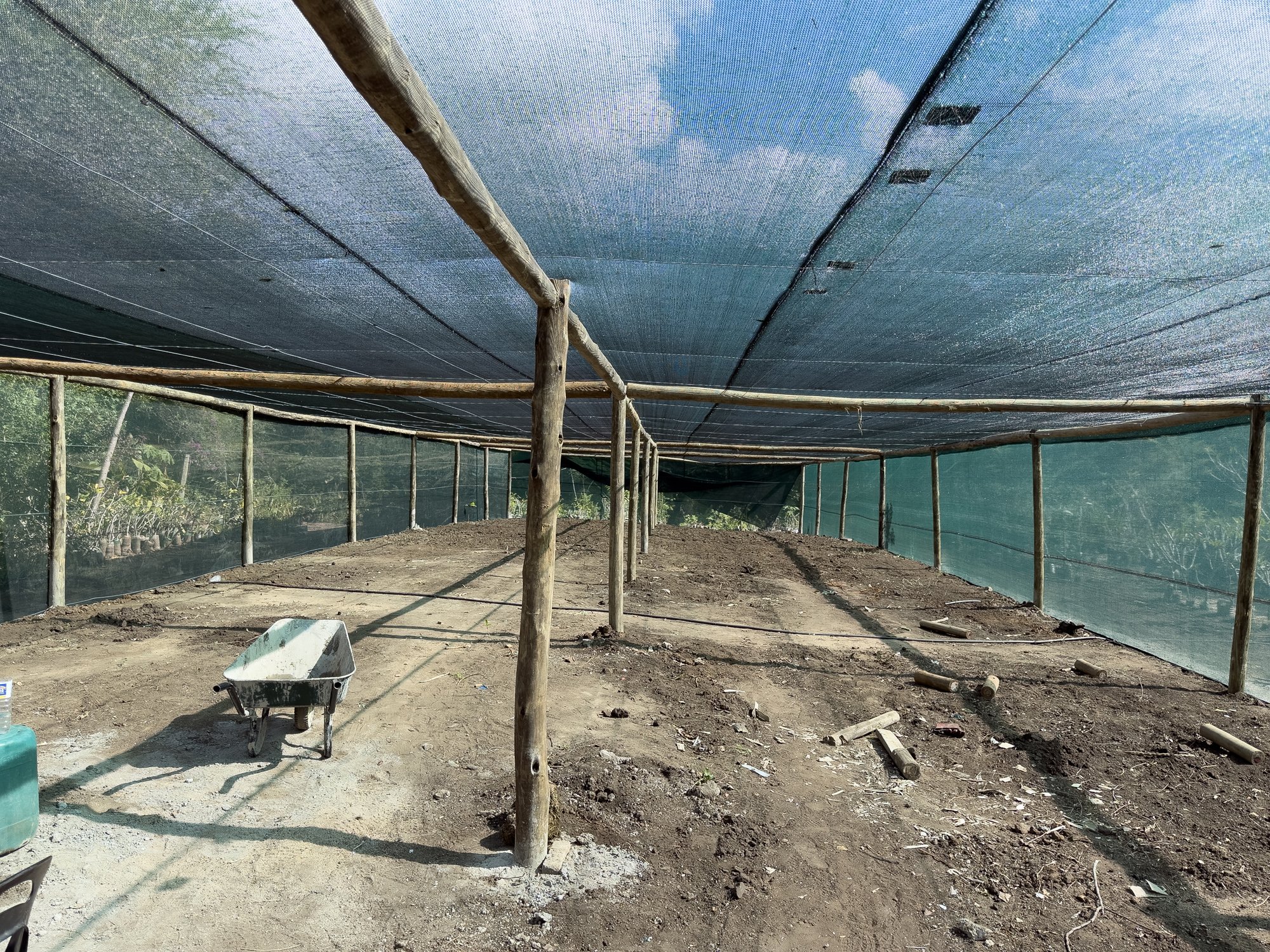 A new shade tunnel under construction at Tiyimeleni Nursery, Belfast — shade cloth in place, beds prepared, awaiting the next intake of seedlings.