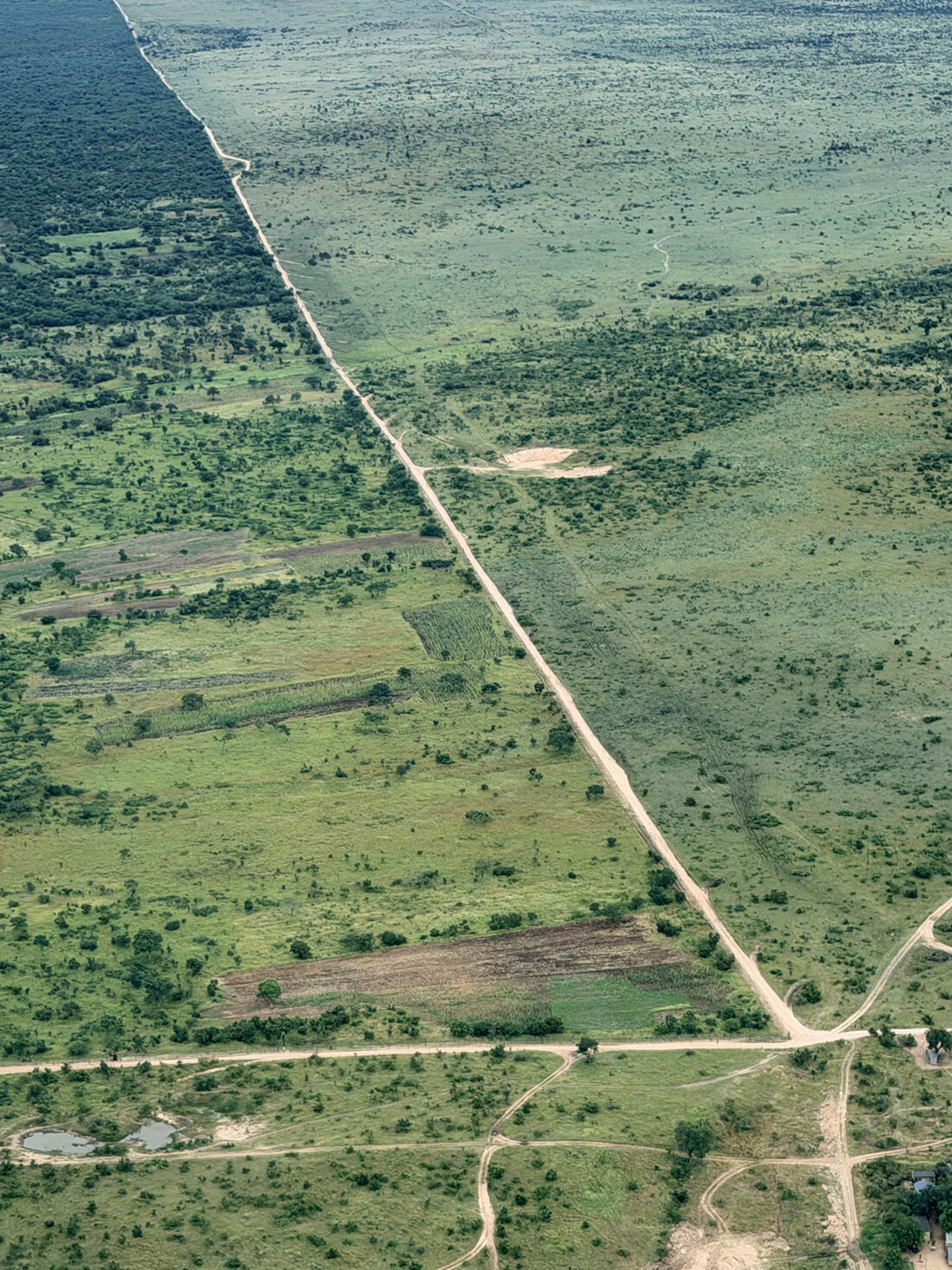 A road threading through bush and homesteads
